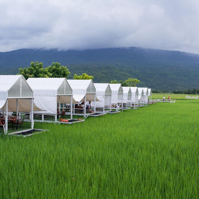คาเฟ่วิวทุ่งนาเขียวบรรยากาศดีมาก ชัยภูมิ