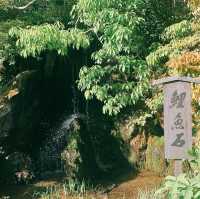 【京都の定番スポット★】金閣寺