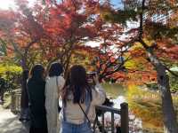 🍁สวนสาธารณะฮิบิยะ Hibiya Park 