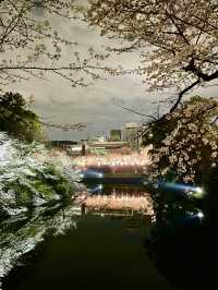 【千鳥ヶ淵/東京都】さくらまつり夜桜ライトアップ