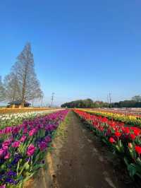 Akebonoyama Park 