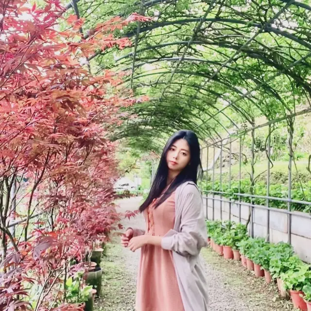 Taipei's Grand Terrace Flower and Ecology Farm