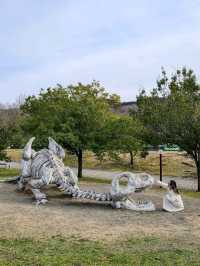 福井県は恐竜がいっぱい！