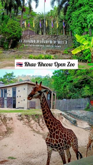 🇹🇭 Khao Kheow Open Zoo
