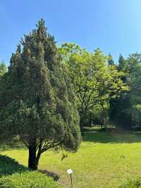 봄에 가기 좋은 오산 물향기 수목원🌳🌸