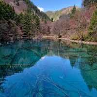 "Jiuzhaigou: A Natural Wonderland of Tranquility and Beauty"