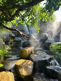 คาร์เฟ่ชิลๆ ฟิลธรรมชาติ The Gardener Cafe