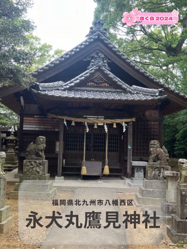 【北九州神社】閑静な住宅街にある、一帯の氏神として祀られている神社