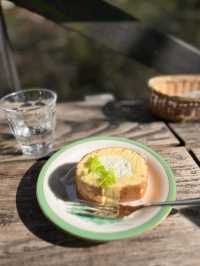 「六甲山牧場」春天好去處，享受大自然與美食的療癒時光