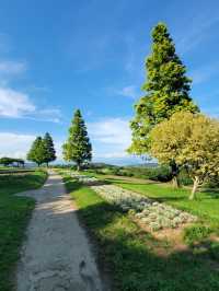 淡路島　大パノラマのお花畑を楽しめる公園🌷
