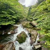 「額田山，感受神秘莊嚴」