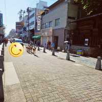 奈良古老城市，親親鹿鹿大自然
