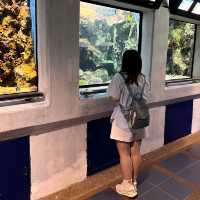 RAYONG AQUARIUM  