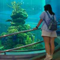 RAYONG AQUARIUM  