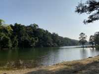 【春天打卡好去處】金山郊野公園：🙈馬騮山🐒上四大水塘，郊遊行山必去‼️