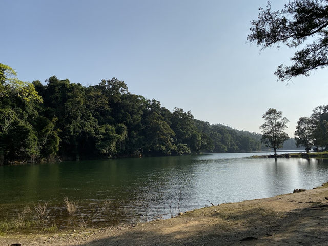 【春天打卡好去處】金山郊野公園：🙈馬騮山🐒上四大水塘，郊遊行山必去‼️