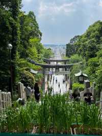 【福岡神社】初夏には菖蒲祭りも行われる神社