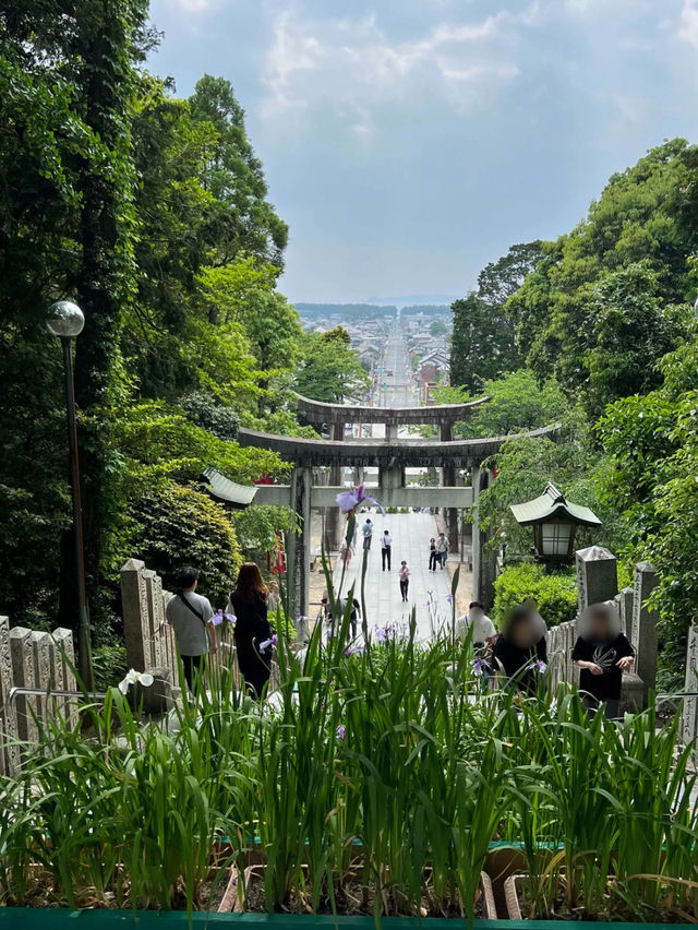 【福岡神社】初夏には菖蒲祭りも行われる神社