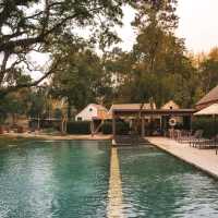 รีวิว Flora Creek - Krisada Doi, Chiang Mai