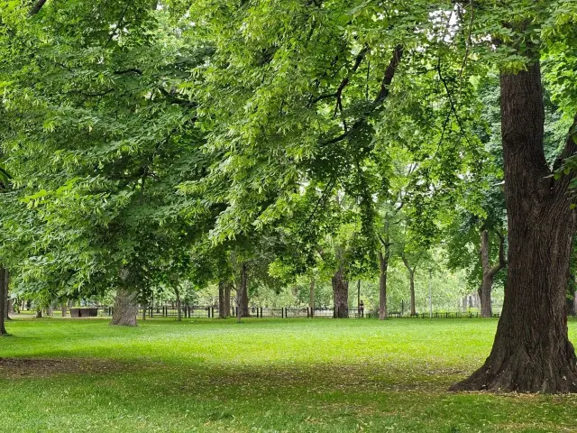 在加拿大蒙特婁的拉封丹公園享受治癒時光 