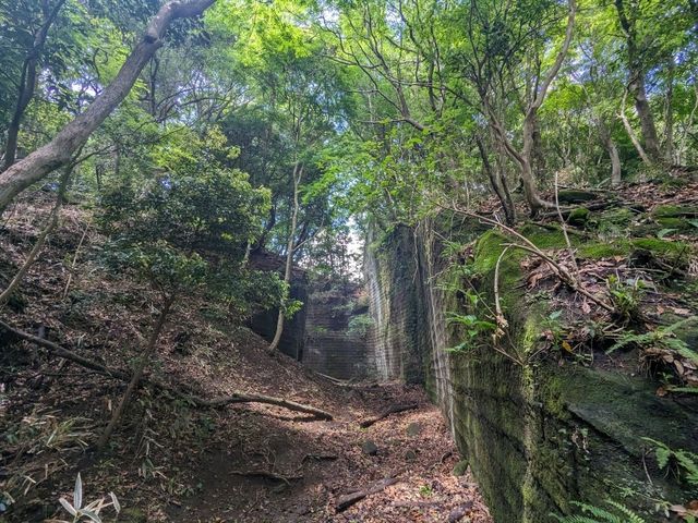鋸山の登ろう！