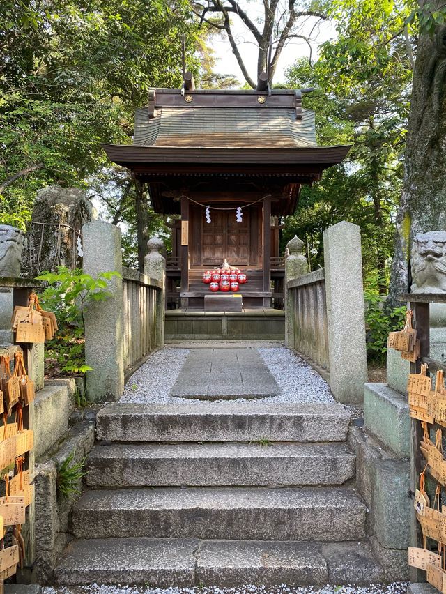 【倉敷】合格祈願だるま