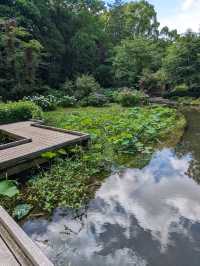 日本京都-賞花踏青的好去處：京都府立植物園