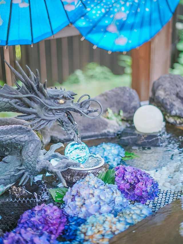 都内紫陽花映えスポット🪷🎐🎐🫧【法輪寺】