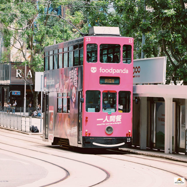 Ding Ding Tram