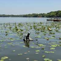 Hangzhou one day trip