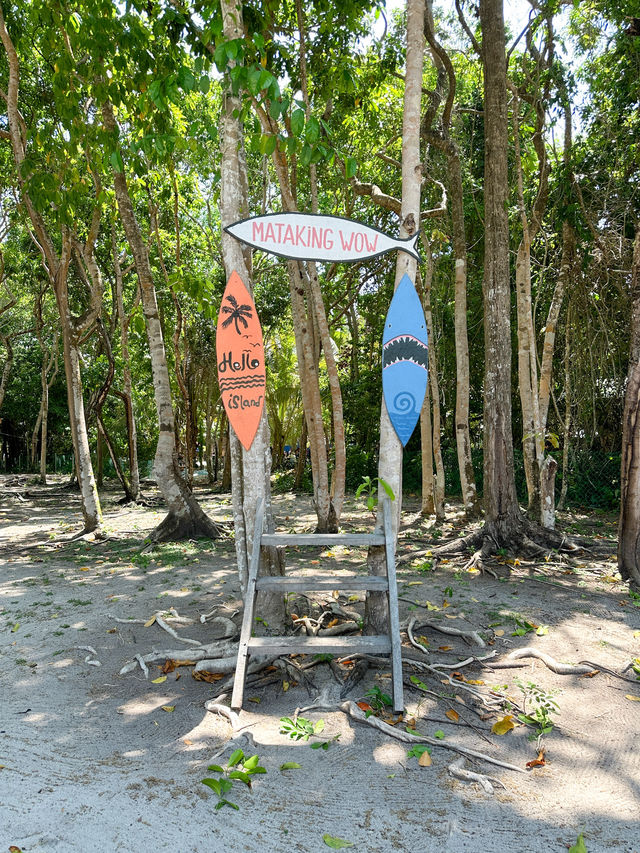 馬來西亞🇲🇾仙本那｜在果凍海拍照浮潛跳島遊