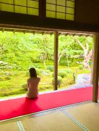 〜京都府〜もはやアート！穴場日本庭園