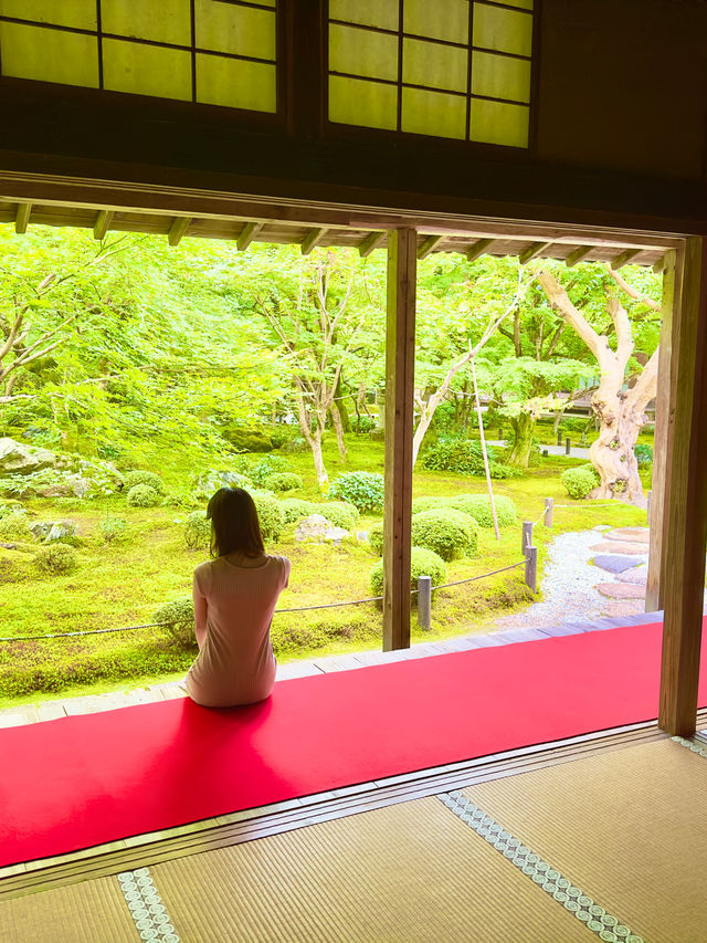 〜京都府〜もはやアート！穴場日本庭園