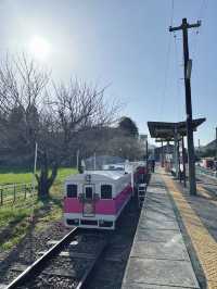 ✈️九州宮崎縣美景盡收眼底高千穗小火車🤎
