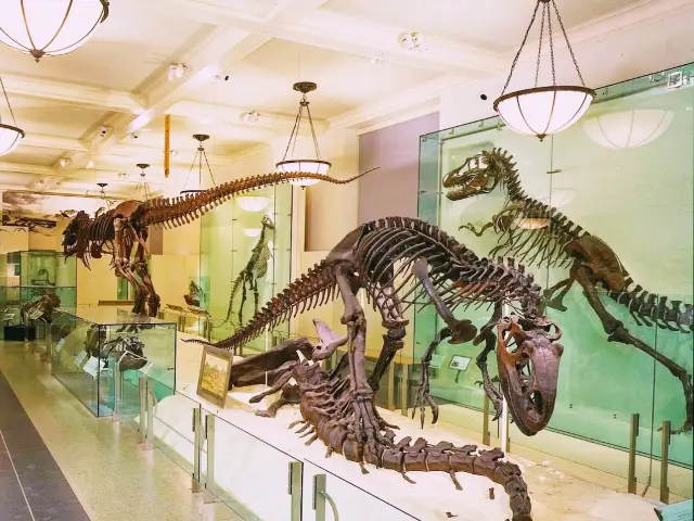 Visit the American Museum of Natural History