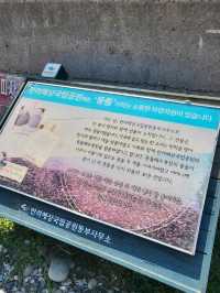 거제도에서 가장 유명한 해수욕장🏖
