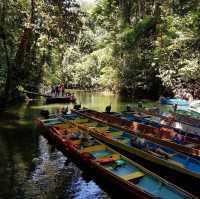 Exploring the Wonders of Gua Mulu