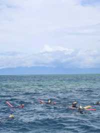 Diving at port Douglas 