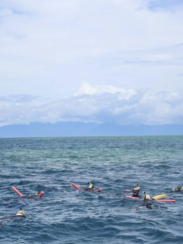 Diving at port Douglas 