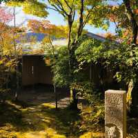 「傳統與現代的優雅～泰泉閣～溫暖舒適的天然溫泉」