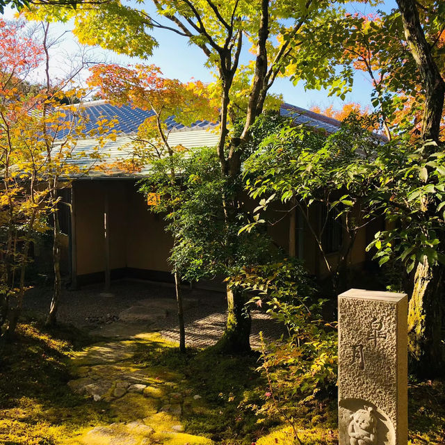 「傳統與現代的優雅～泰泉閣～溫暖舒適的天然溫泉」