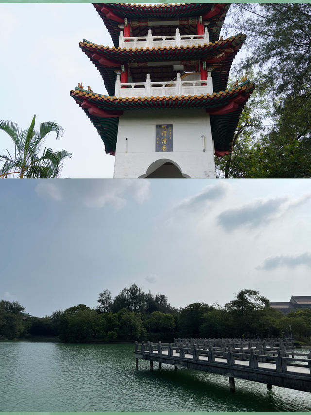 高雄澄清湖～高雄的靈魂湖🏞️ 