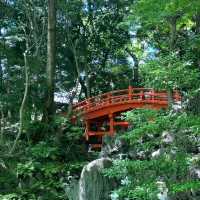 東京市中心綠洲
