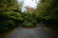 very beautiful and spacious Japanese garden