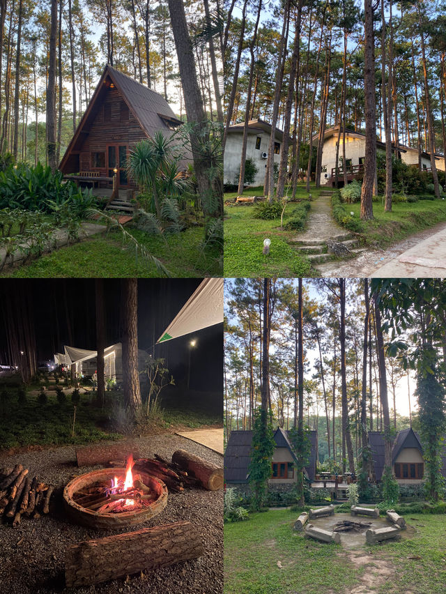 ฤดูฝนที่สวนป่าดอยบ่อหลวง 🏡🪵🌲🔥