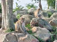 เขาพระยาเดินธง จ.ลพบุรี