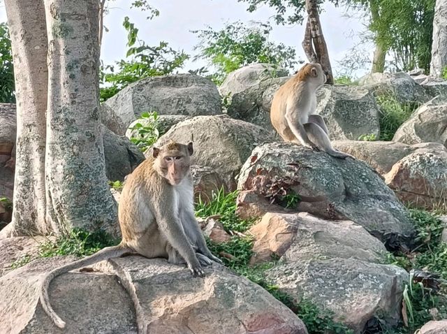 เขาพระยาเดินธง จ.ลพบุรี