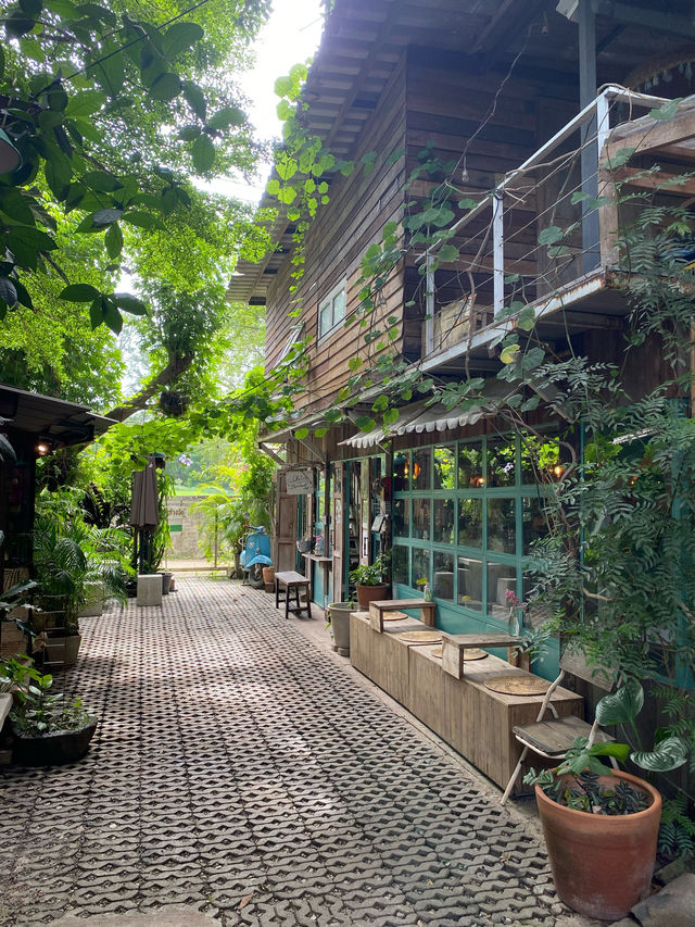 บ้านข้างวัด | เชียงใหม่ 🏡🎨🌿🥤