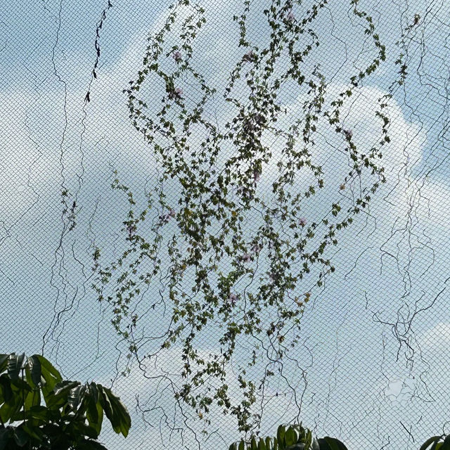 湖南省植物園：綠意盎然