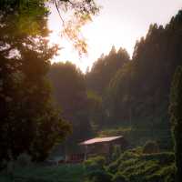 Want to escape the city ? 